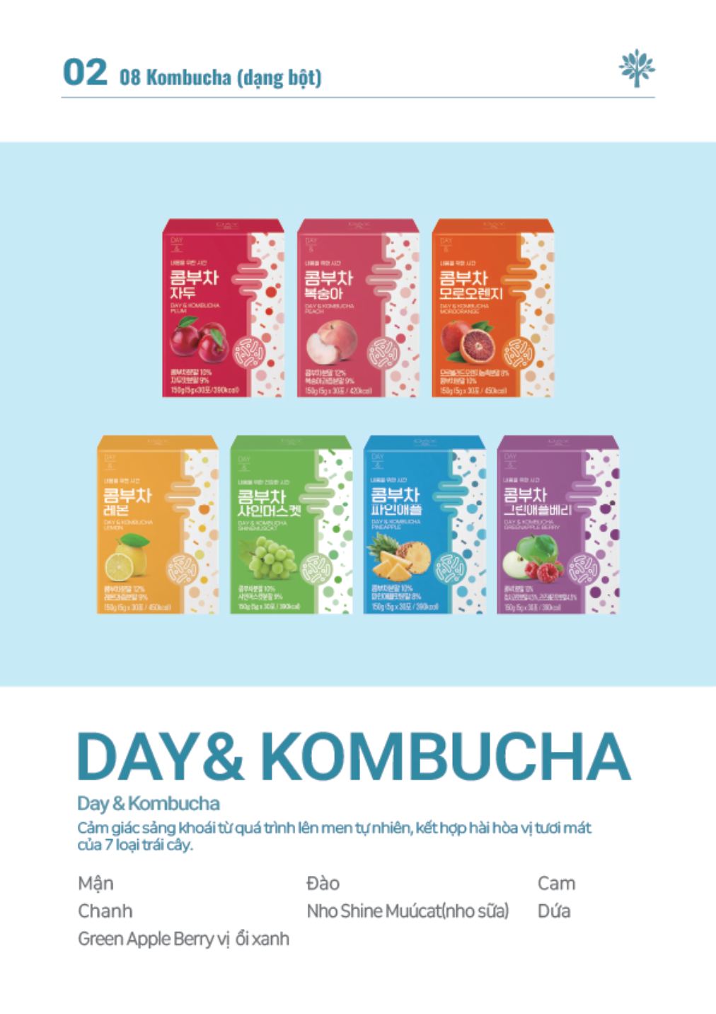 Kombucha