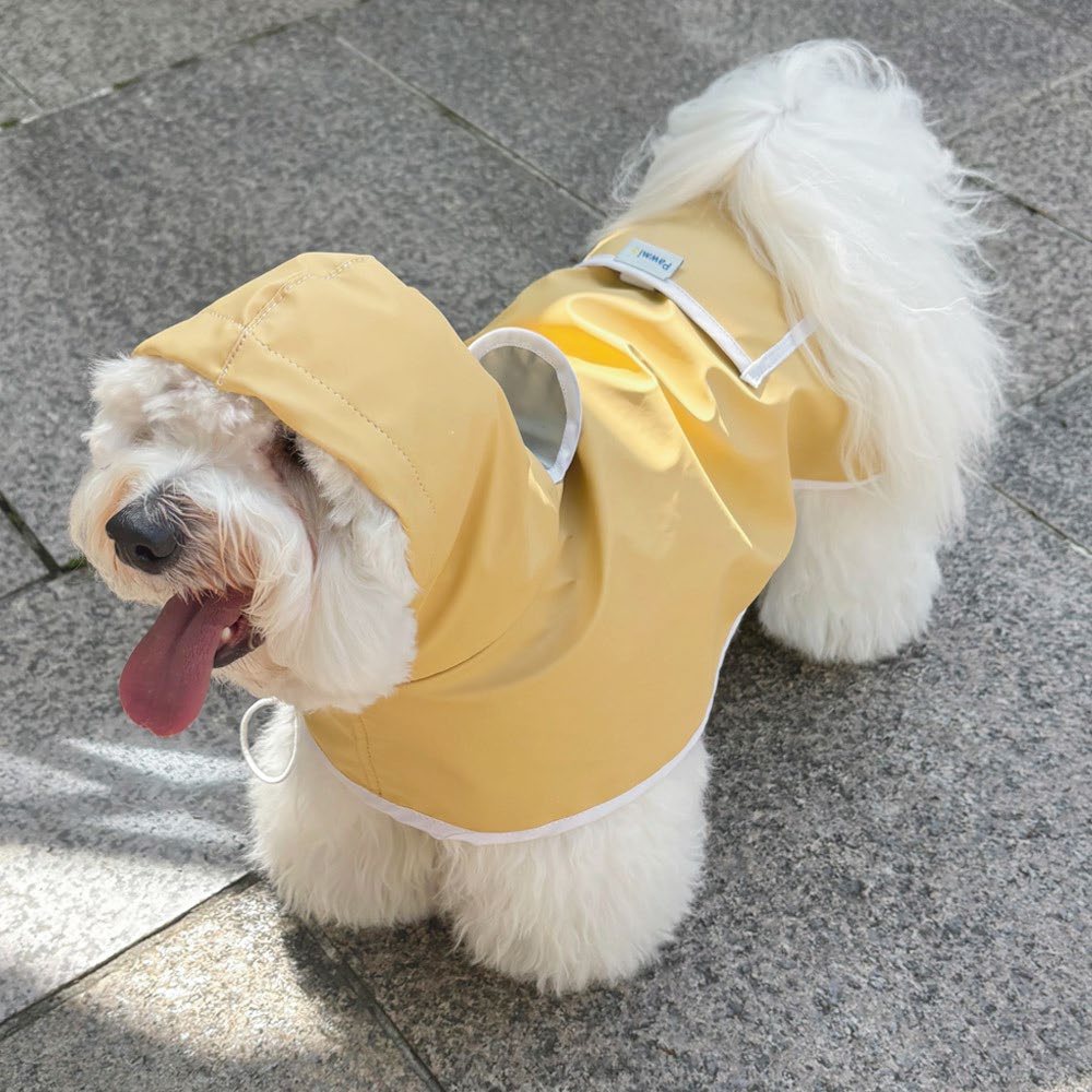 Chó mặc áo mưa vàng Pawmio