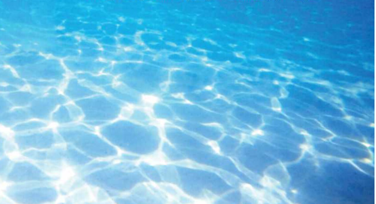 Đại dương — nguồn vật liệu sinh học của Korea Ocean Bio Cluster
