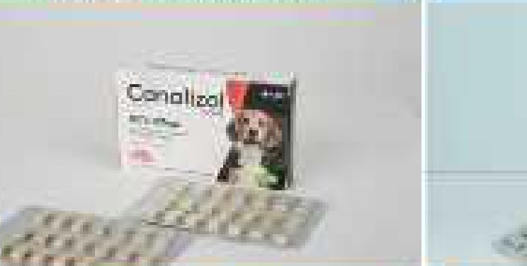 Canalizol (Dogs)