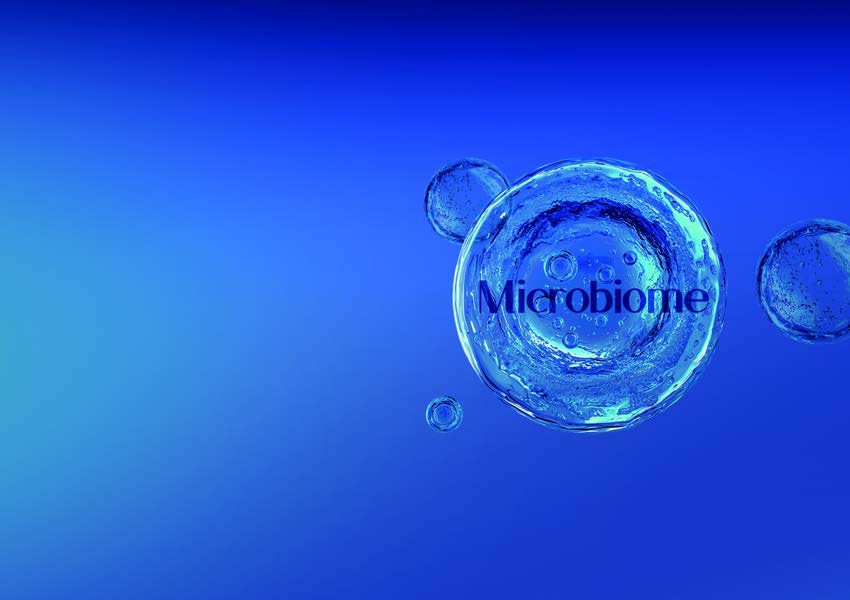 CELIGIN Seawater Biome